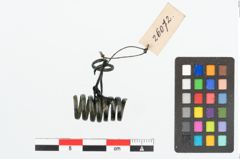 Foto von Bronzespiralröhrchen (NHMW-PRAE-026072)